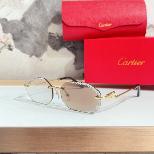 Fashion hot 5 color sunglasses